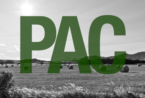 POR UN FUTURO SOSTENIBLE PARA LA AGRICULTURA ZARAGOZANA