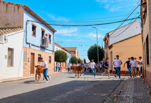 El PSOE de Sobradiel pide a la Alcaldía que se extremen las medidas de seguridad y el control de la concesión de permisos para los festejos taurinos de San Antonio